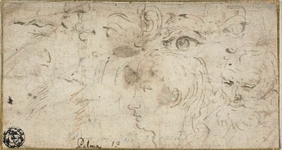 頭、目、耳、口のスケッチ 作： Jacopo Palma il Giovane
