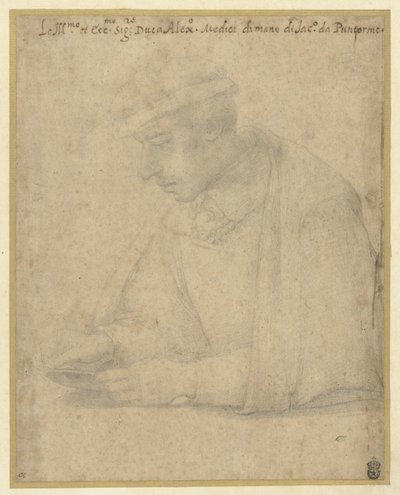 アレクサンダー・デ・メディチ 作： Jacopo Pontormo