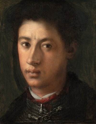 アレッサンドロデメディチ 作： Jacopo Pontormo