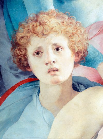 ヤコポ・ダ・ポントルモ（1494-1557）の『退位』の細部に描かれた若い男性の顔 作： Jacopo Pontormo