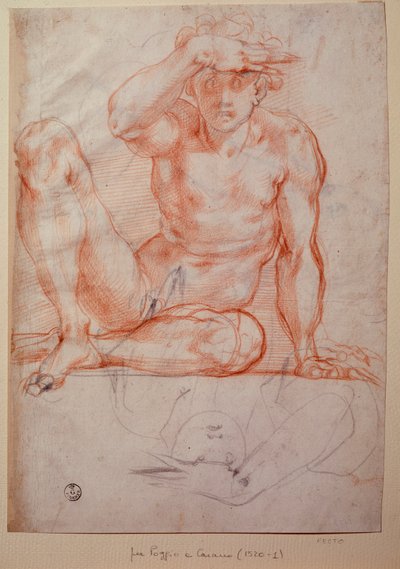 裸の男 - 図面 作： Jacopo Pontormo