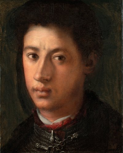 アレッサンドロ・デ・メディチ1510-1537、1534-1535の肖像 作： Jacopo Pontormo