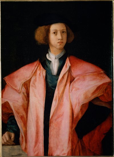 アレッサンドロ・デ・メディシスと思われる若い男性の肖像 - パネルに油彩 作： Jacopo Pontormo