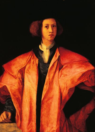 Retrato de jovem, talvez Amerigo Antinori, ca 1530, de Jacopo Carucci, conhecido como Pontormo (1494-1557), óleo sobre painel 作： Jacopo Pontormo