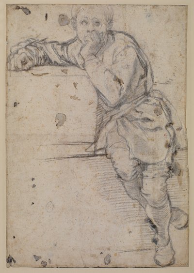 着席した若者 作： Jacopo Pontormo