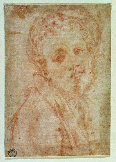 セルフポートレート（紙に赤いチョーク） 作： Jacopo Pontormo