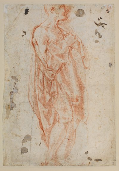 聖ジェロームのための研究 作： Jacopo Pontormo