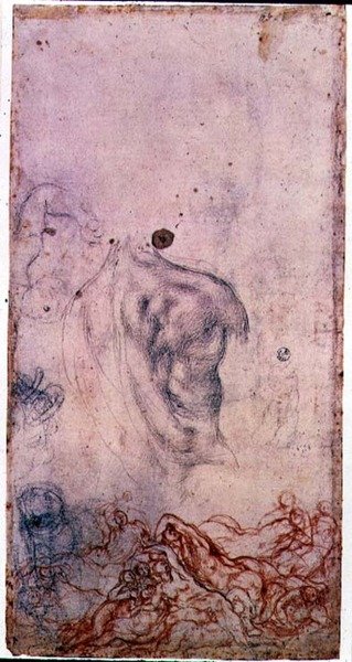 コジモ1世ジョヴィネットの肖像画のための習作と蠢く身体の他の習作（紙に黒と赤のチョーク） 作： Jacopo Pontormo