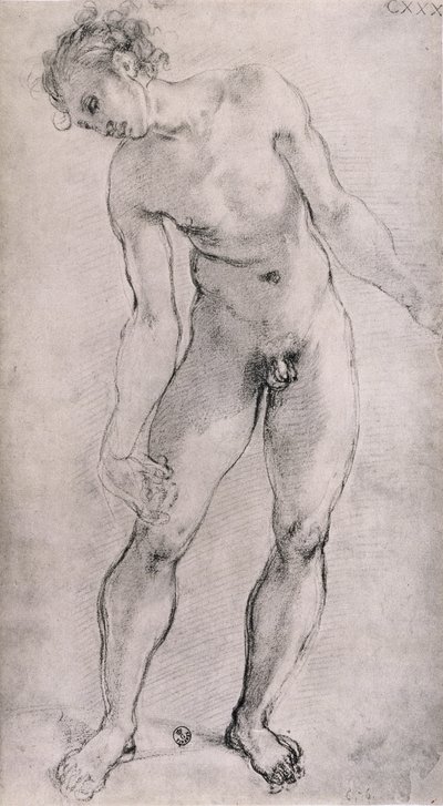 1525-27（木炭）、サンタフェリチタ、フィレンツェ、カペラカッポーニの「沈着」祭壇画の男性像の研究 作： Jacopo Pontormo