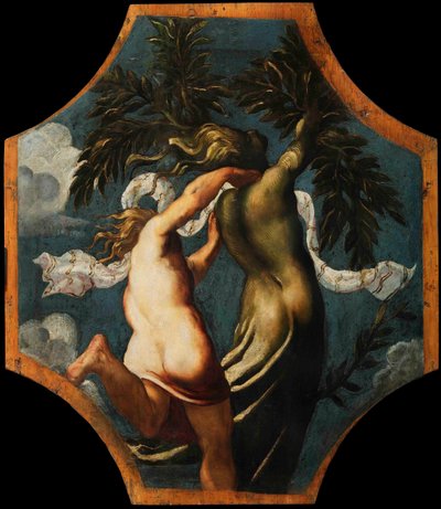 アポロとダフネ、約1541年。 作： Jacopo Robusti Tintoretto