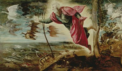 動物の創造 作： Jacopo Robusti Tintoretto