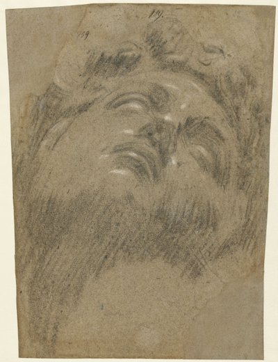 ミケランジェロ後のジュリアーノデイメディチ、1550年頃（紙にチョーク） 作： Jacopo Robusti Tintoretto