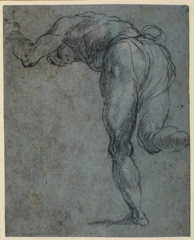 1575-c.1585年に前屈する男性の姿の研究 作： Jacopo Robusti Tintoretto