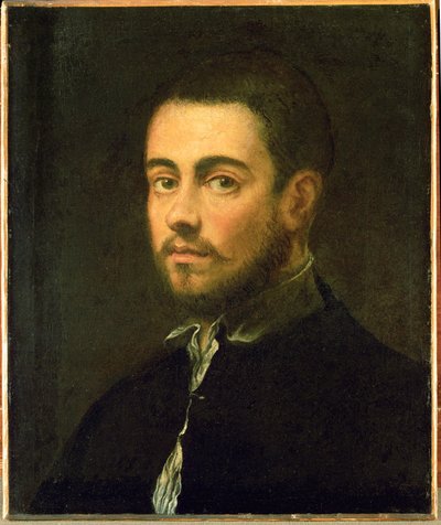 ひげをたくわえた若い男...（キャンバスに油彩） 作： Jacopo Robusti Tintoretto