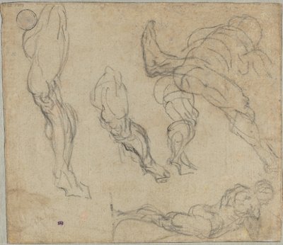 人物と脚 (裏面) 作： Jacopo Tintoretto