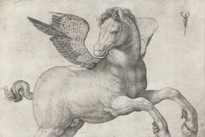 ペガサス、1509-16 作： Jacopo de Barbari