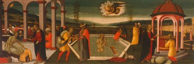 Jacopo del Sellaio (1441-1493) による Bethesda のプール 作： Jacopo del Sellaio