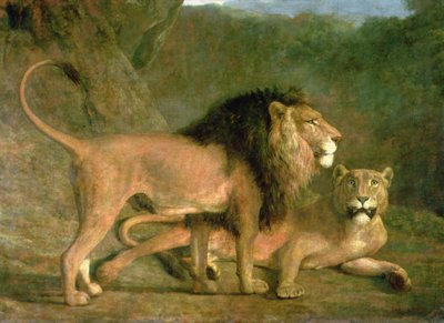 ロッキーバレーのライオンとライオン（キャンバスに油彩） 作： Jacques Laurent Agasse
