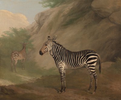 シマウマ 作： Jacques-Laurent Agasse