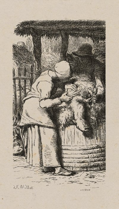 羊の毛を刈る女性 作： Jacques Adrien Lavieille