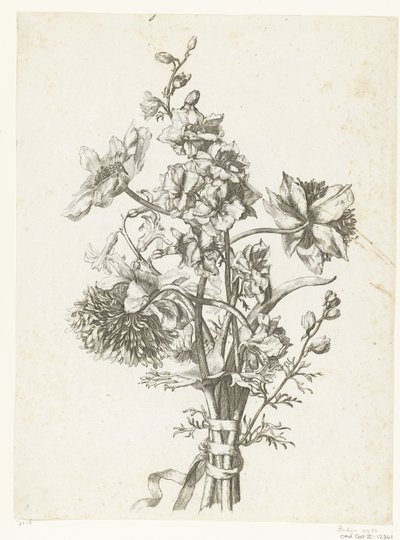 アネモネ、ヒヤシンス、デルフィ ニウムのブーケ Diverses Fleurs mises en Boucquets (連載タイトル) 作： Jacques Bailly (I)