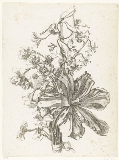 チューリップ、ヒヤシンス、ブロディアエア、水仙のブーケ Diverses Fleurs mises en Boucquets (連載タイトル) 作： Jacques Bailly (I)