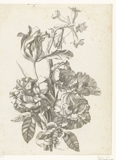 牡丹、チューリップ、ブローディアのブーケ Diverses Fleurs mises en Boucquets (連載タイトル) 作： Jacques Bailly (I)