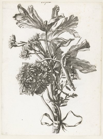 色あせたチューリップ、アネモネ、イモーテルのブーケ Diverse Fleurs mises en Boucquets (連載タイトル) 作： Jacques Bailly (I)