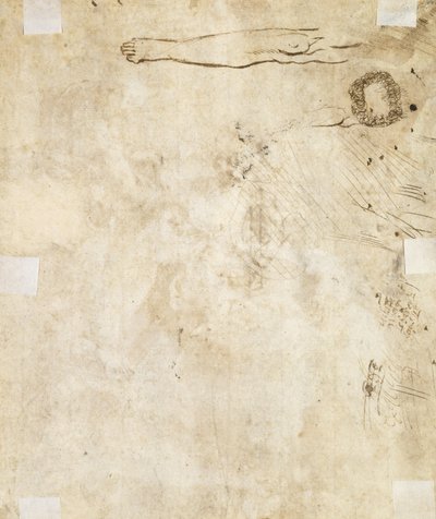 脚の研究、繁栄、および落書き、1610-17 作： Jacques Bellange