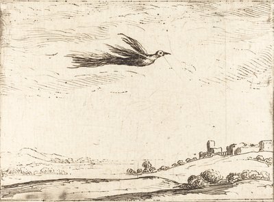 極楽鳥。 作： Jacques Callot