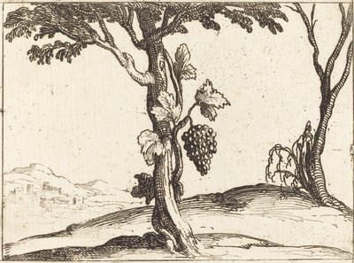 ブドウ一房 作： Jacques Callot