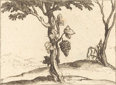 ブドウ一房 作： Jacques Callot