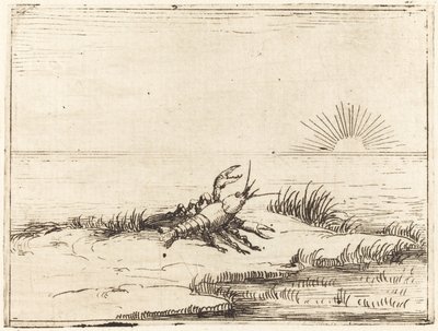 太陽を見るザリガニ 作： Jacques Callot