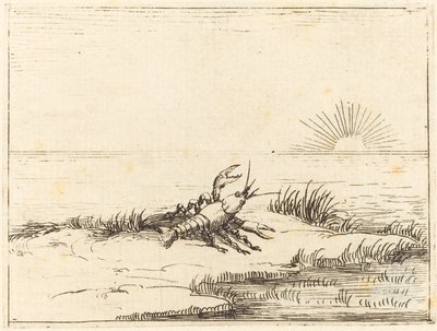 太陽を見るザリガニ 作： Jacques Callot