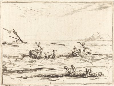 イルカとクロコダイル 作： Jacques Callot