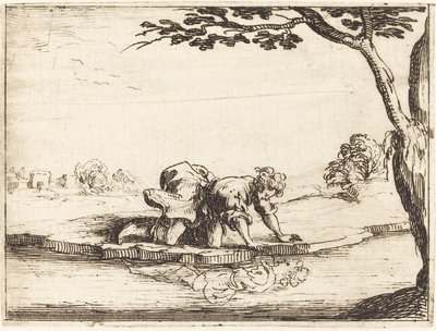 水を見る水仙 作： Jacques Callot
