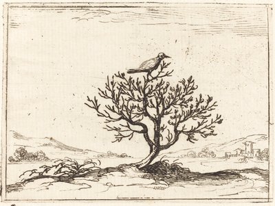 茂みの中のナイチンゲール 作： Jacques Callot