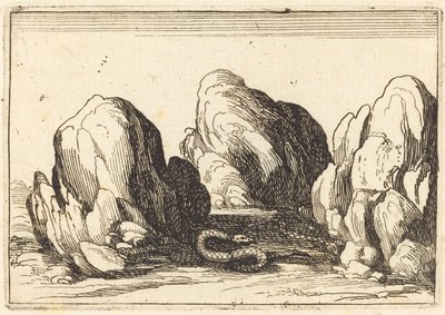 蛇、1628年。 作： Jacques Callot