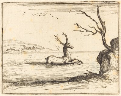 スタッグ イン ザ ウォーター 作： Jacques Callot