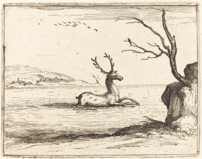 水の中の雄鹿、1628年。 作： Jacques Callot
