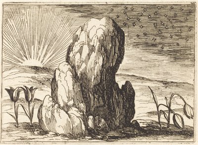 チューリップと太陽 作： Jacques Callot