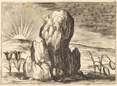 チューリップと太陽 作： Jacques Callot