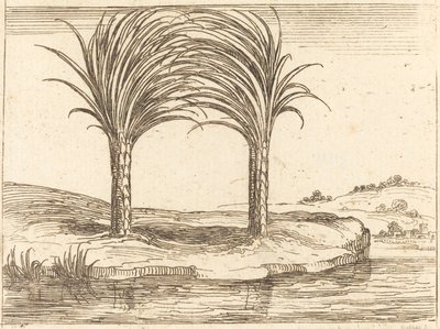 2 つのヤシの木。 作： Jacques Callot