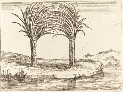 2 つのヤシの木 作： Jacques Callot