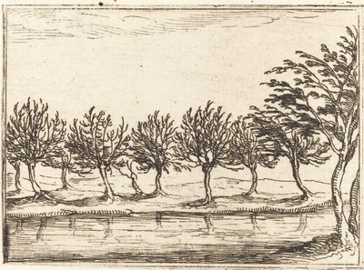 水辺の柳 作： Jacques Callot