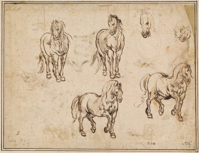 馬学 [直訳] 作： Jacques Callot after Antonio Tempesta
