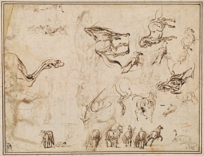 馬の研究 [裏面] 作： Jacques Callot after Antonio Tempesta