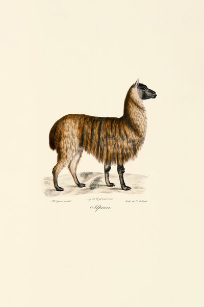  作： Jacques Christophe Werner