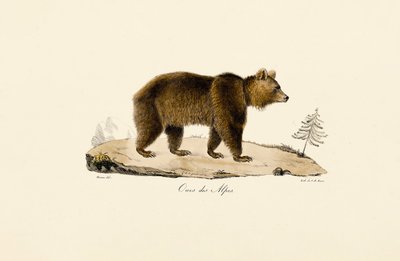  作： Jacques Christophe Werner