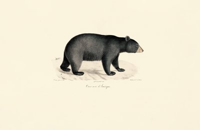  作： Jacques Christophe Werner